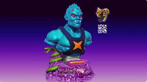 Webstor Bust